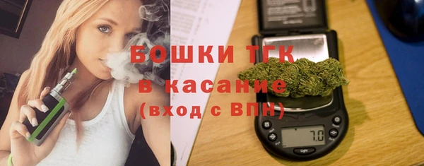 индика Нягань