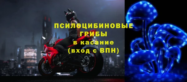 индика Нягань