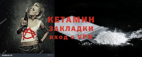 индика Нягань