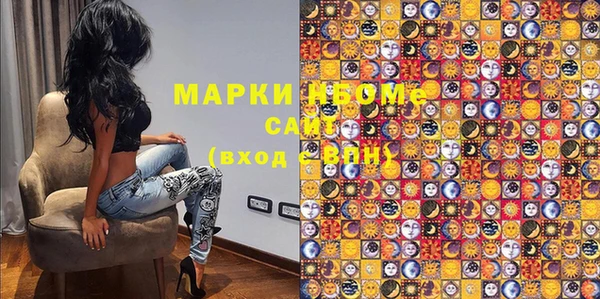 индика Нягань