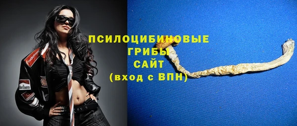 экстази Няндома