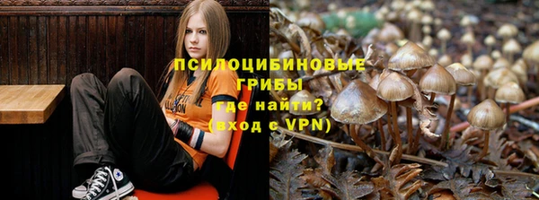 2c-b Новозыбков