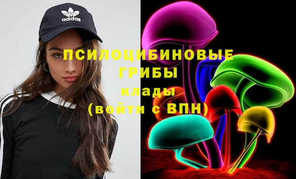 мдпв Новокубанск